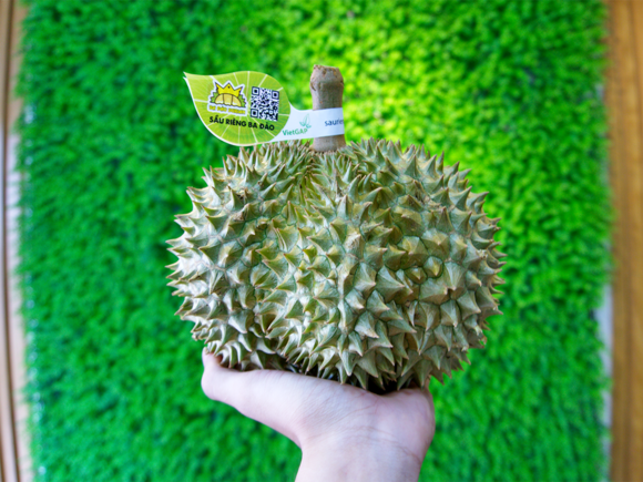 Sầu Riêng Ba Đảo