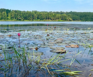 image(134).png