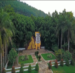 image(91).png